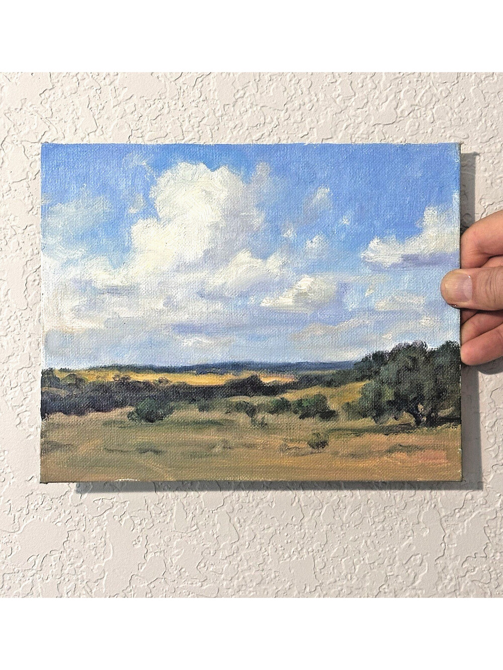 Oil Plein Air Landscape 8x10 Unsigned Pastoral Cloudscape Peaceful